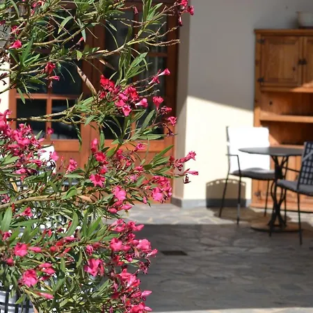 Hotel Boutique Pico - Adults Only